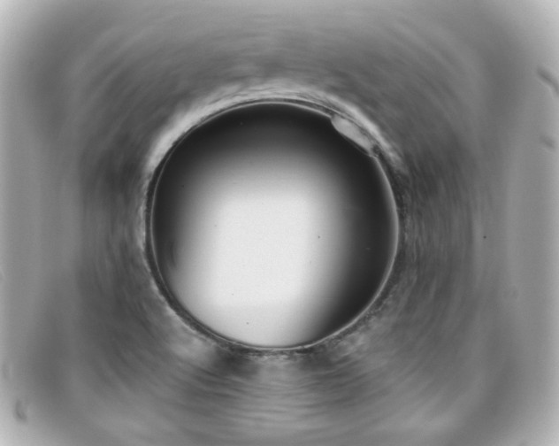 X0000099441512200805091301