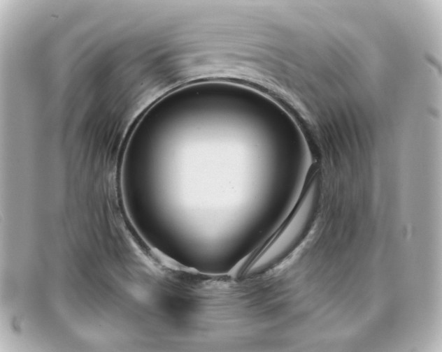 X0000099441513200805091301
