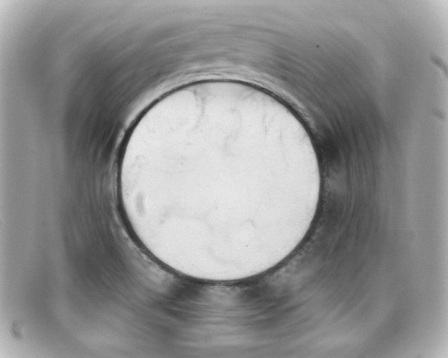 X0000099441514200805091301
