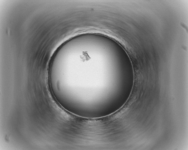 X0000099441518200805091301