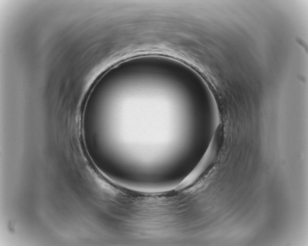 X0000099441519200805091301