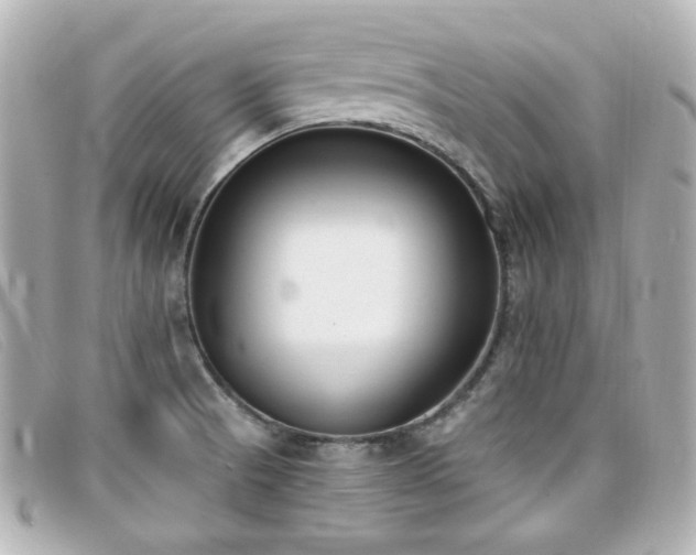 X0000099441521200805091301