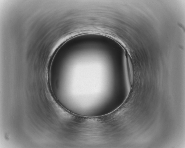 X0000099441523200805091301