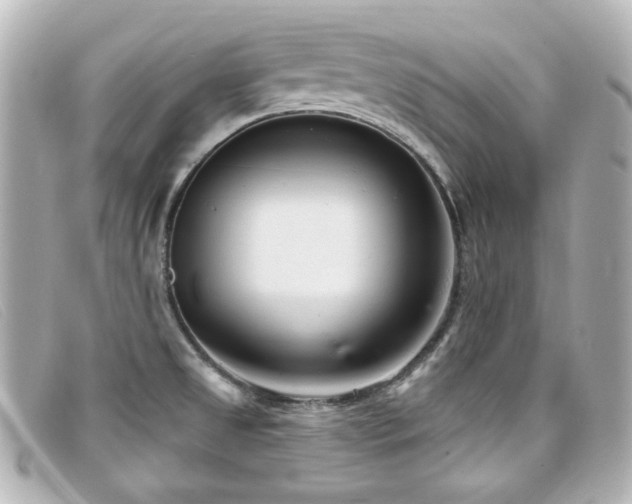 X0000099441525200805091301