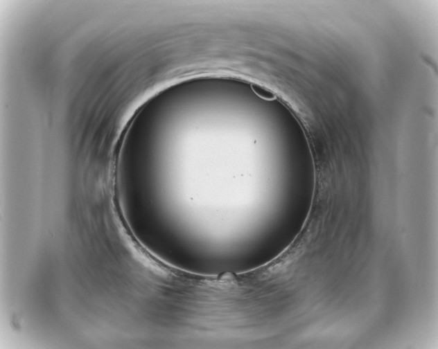X0000099441526200805091301