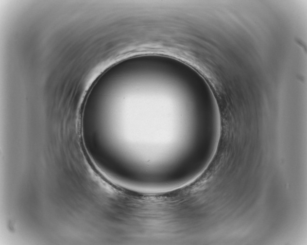 X0000099441527200805091301