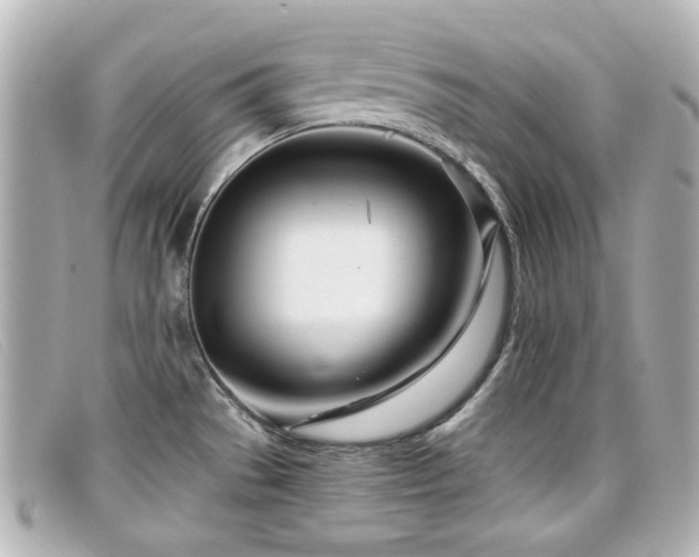 X0000099441529200805091301