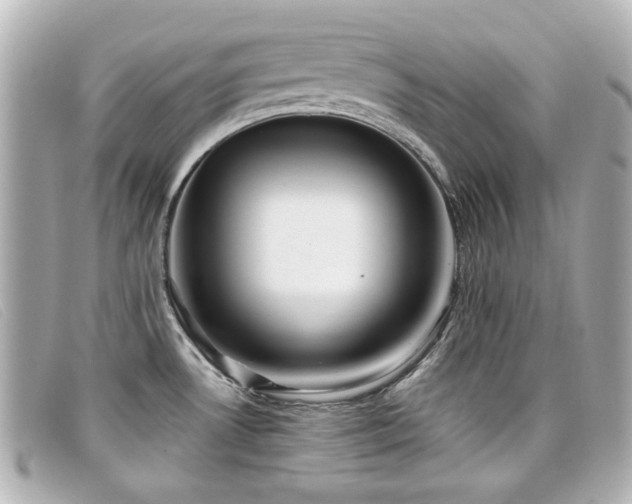X0000099441530200805091301