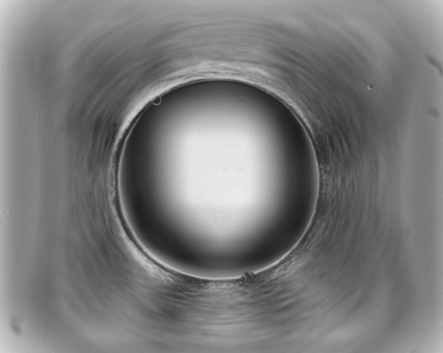 X0000099441531200805091301