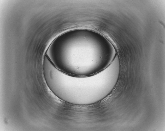 X0000099441532200805091301