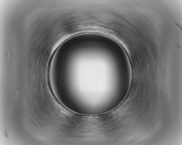 X0000099441533200805091301