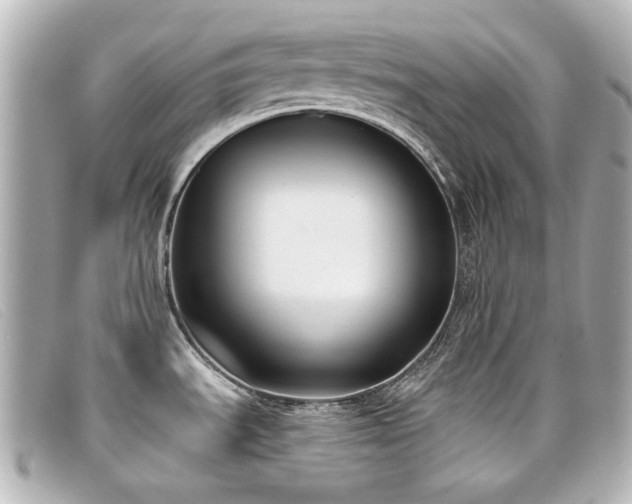 X0000099441535200805091301