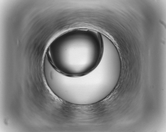 X0000099441536200805091301