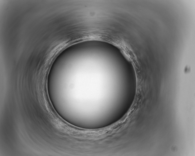 X0000099440001200805161145