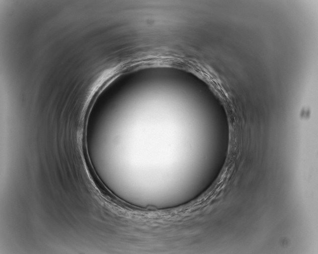X0000099440003200805161145
