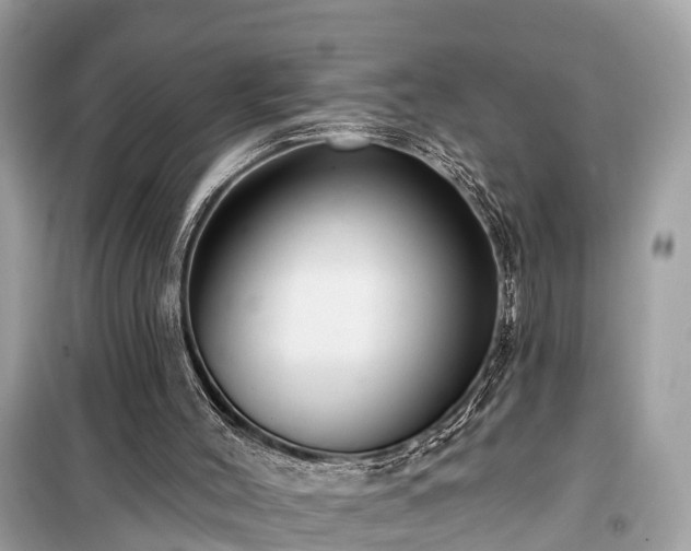 X0000099440004200805161145