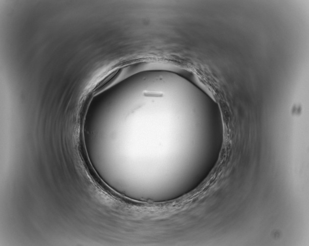 X0000099440005200805161145