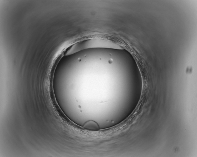 X0000099440006200805161145