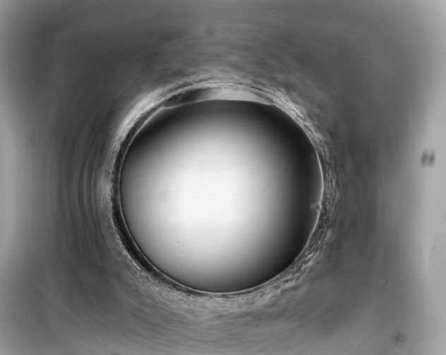 X0000099440007200805161145