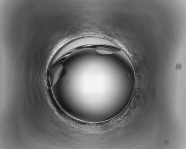 X0000099440008200805161145