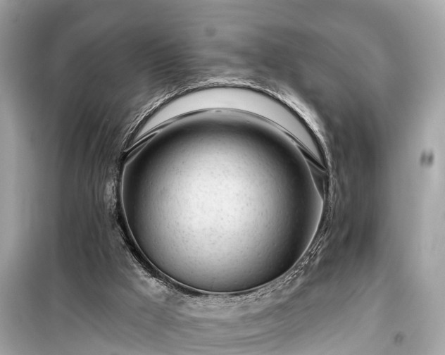 X0000099440009200805161145