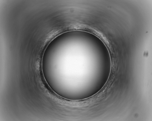 X0000099440010200805161145