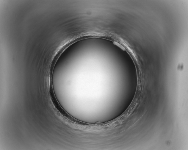 X0000099440011200805161145