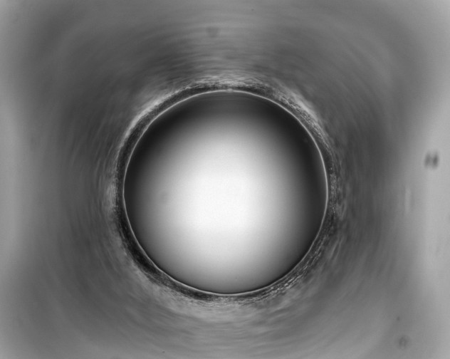 X0000099440012200805161145