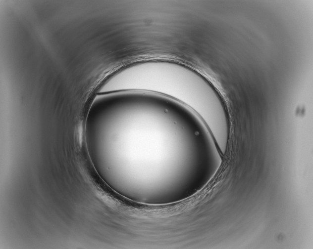 X0000099440013200805161145