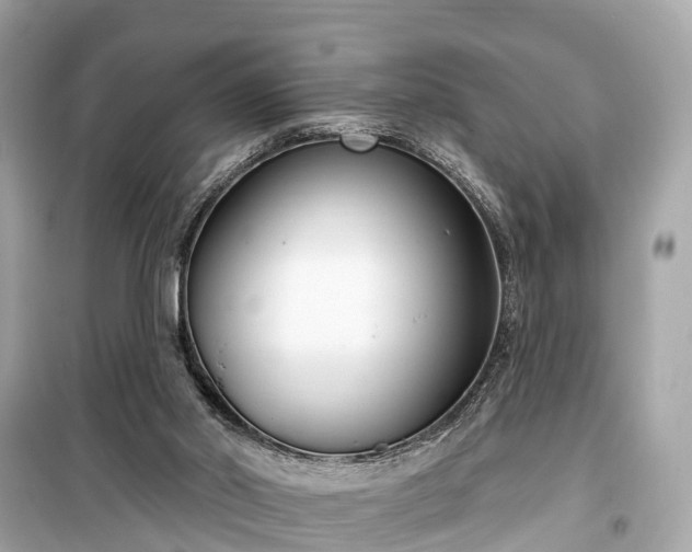 X0000099440014200805161145
