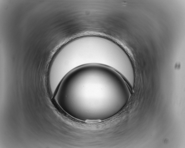 X0000099440015200805161145