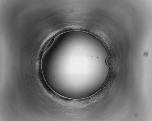 X0000099440016200805161145