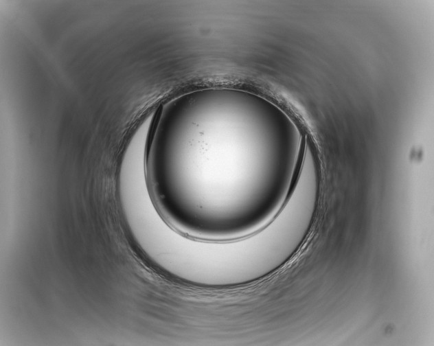 X0000099440017200805161145