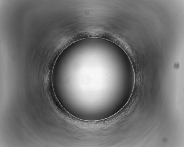 X0000099440018200805161145