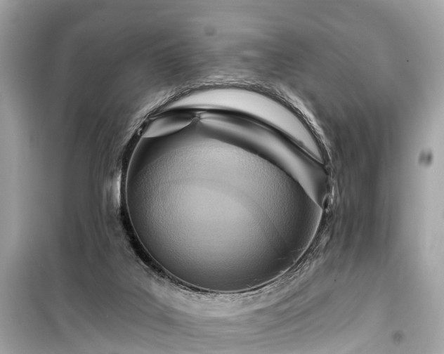 X0000099440019200805161145