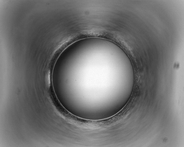 X0000099440020200805161145