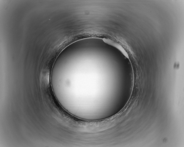 X0000099440021200805161145