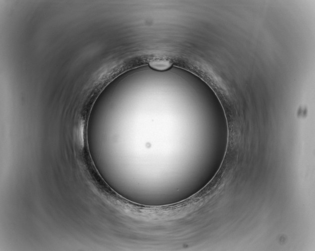 X0000099440022200805161145