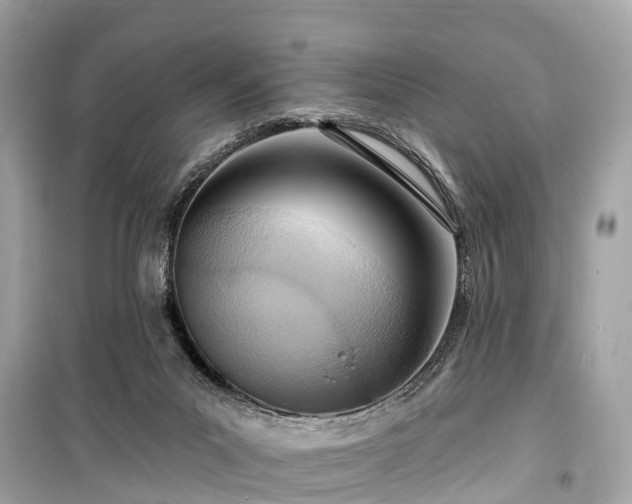 X0000099440023200805161145