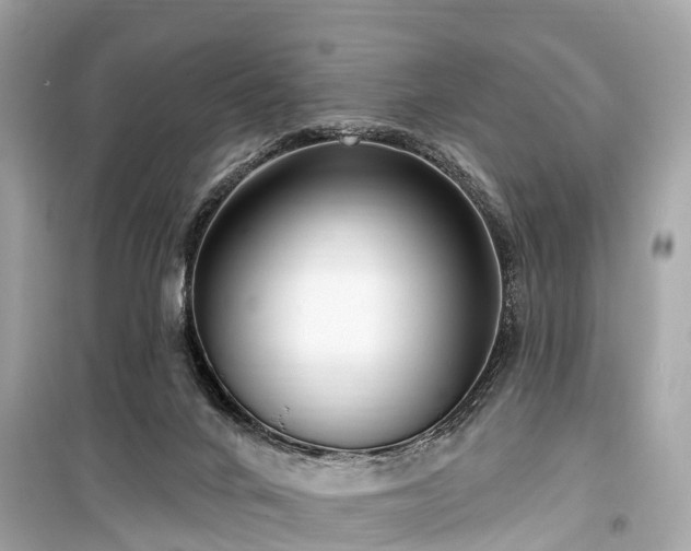 X0000099440024200805161145