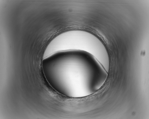X0000099440025200805161145