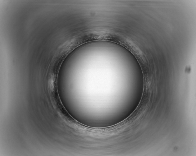 X0000099440026200805161145