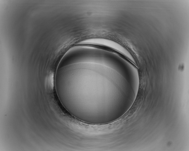 X0000099440027200805161145