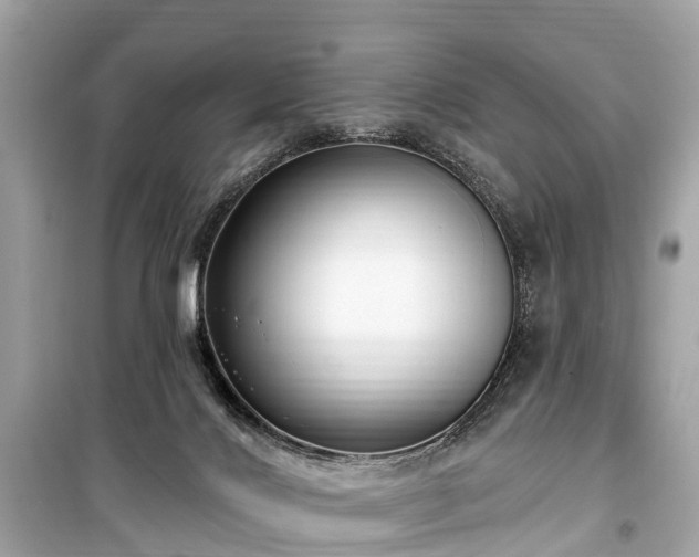 X0000099440028200805161145