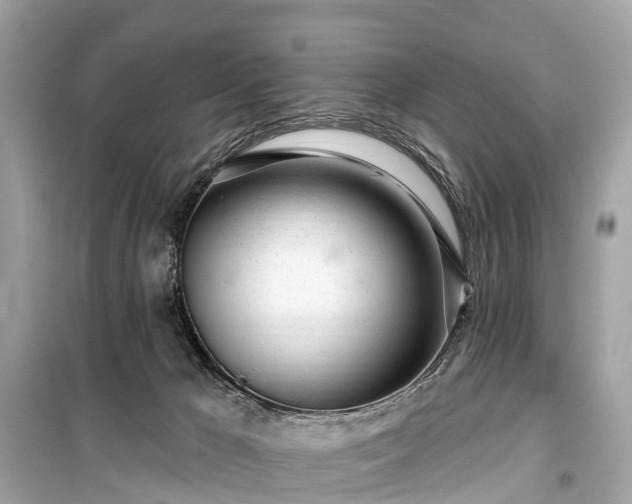 X0000099440029200805161145