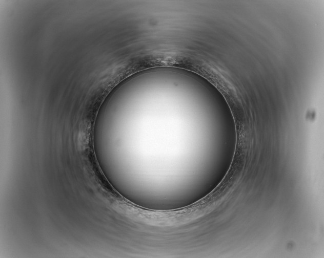 X0000099440030200805161145