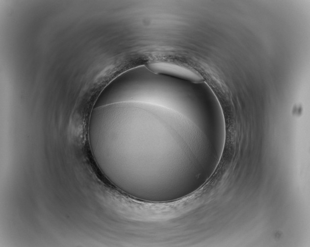 X0000099440031200805161145