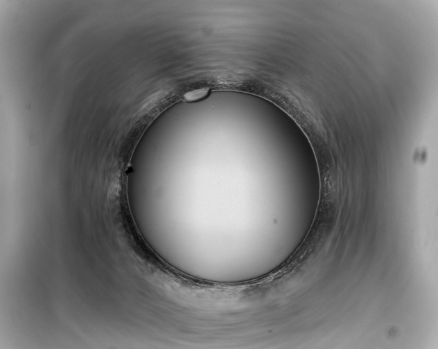 X0000099440032200805161145