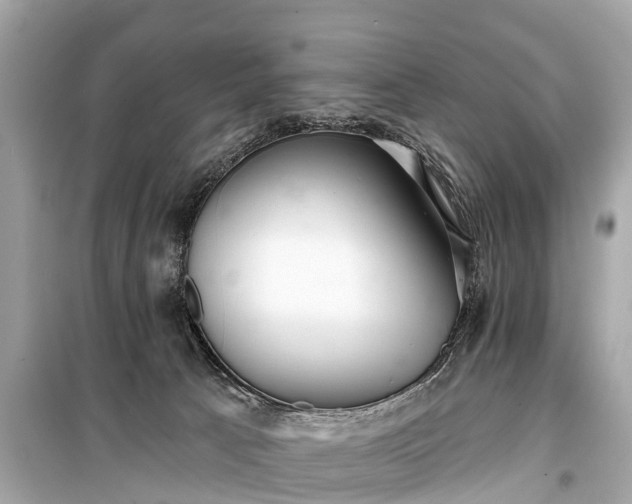 X0000099440033200805161145