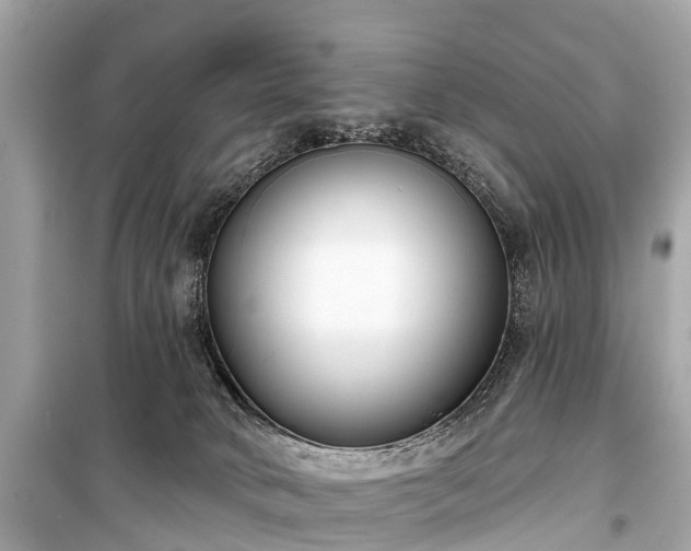 X0000099440034200805161145